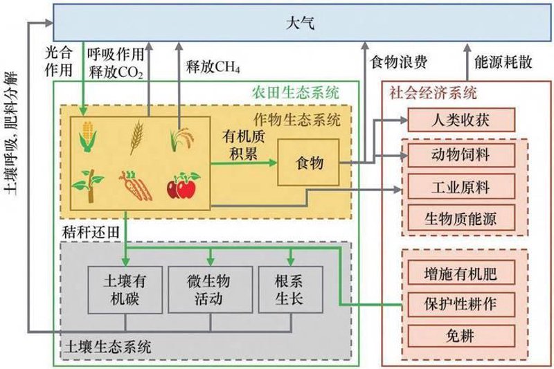 永续农业:一种可持续的耕作方式